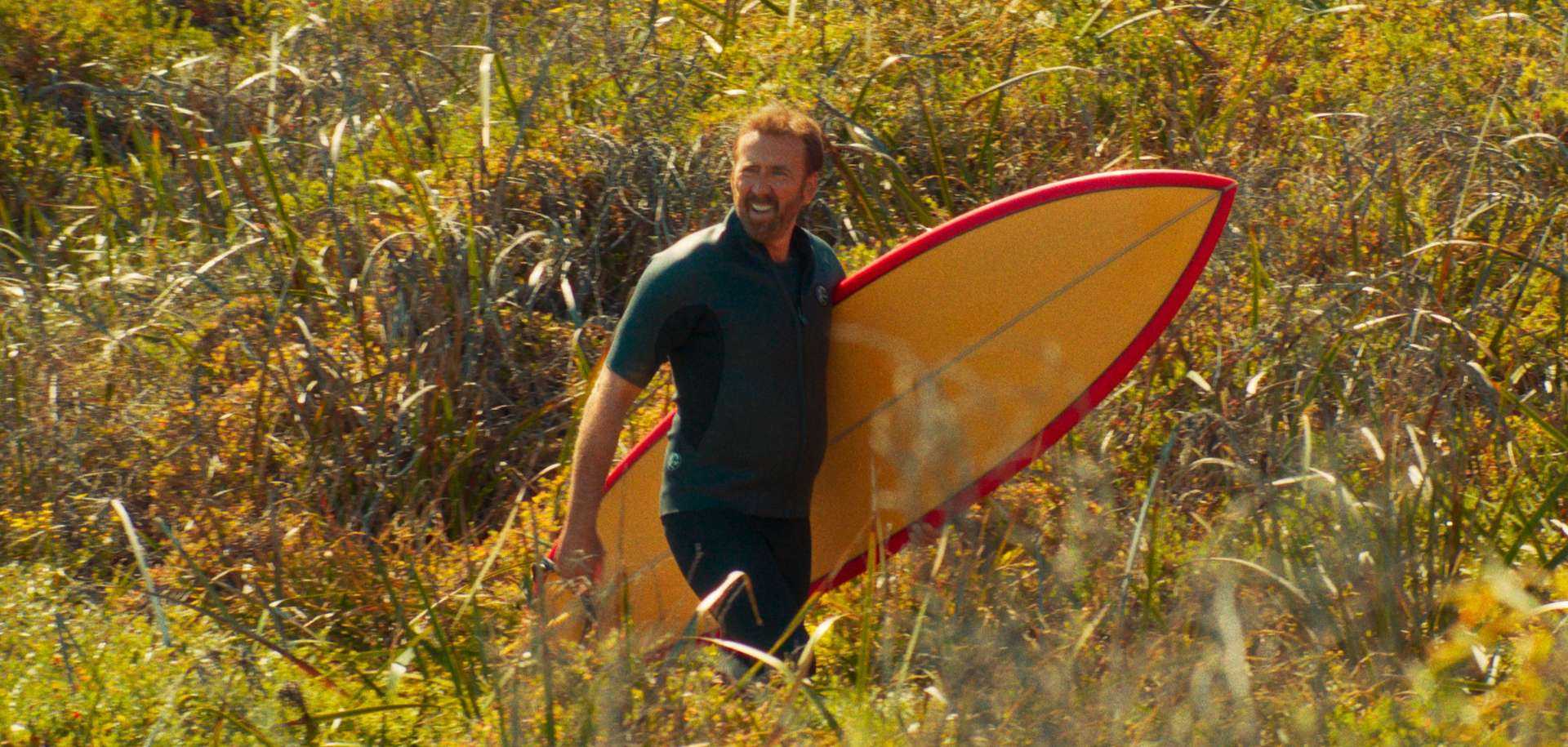 The Surfer | Halloween Nerve Cinema