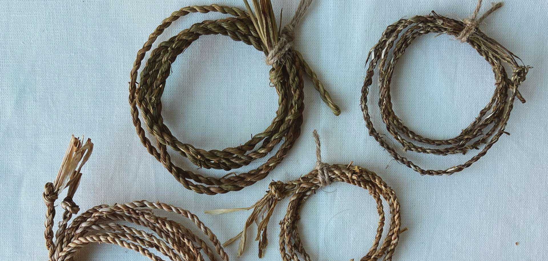 Cordage and Colonialism | Power Plants