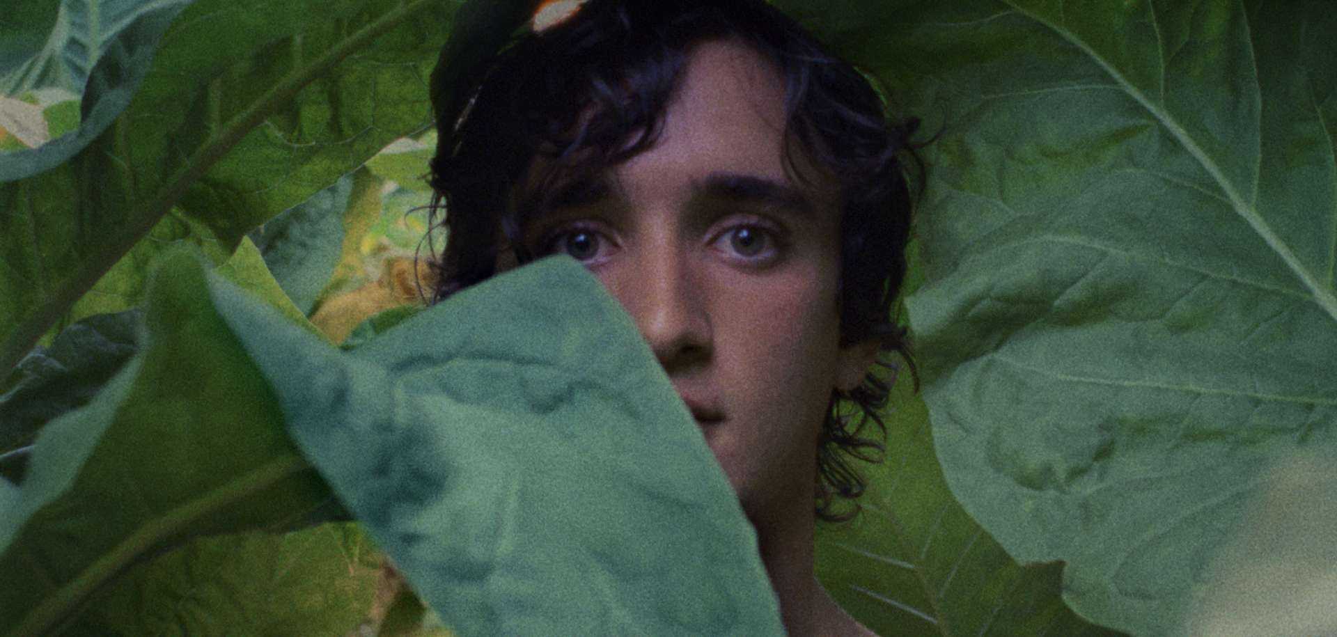 Italian Film Club: Happy as Lazzaro | Nerve Cinema