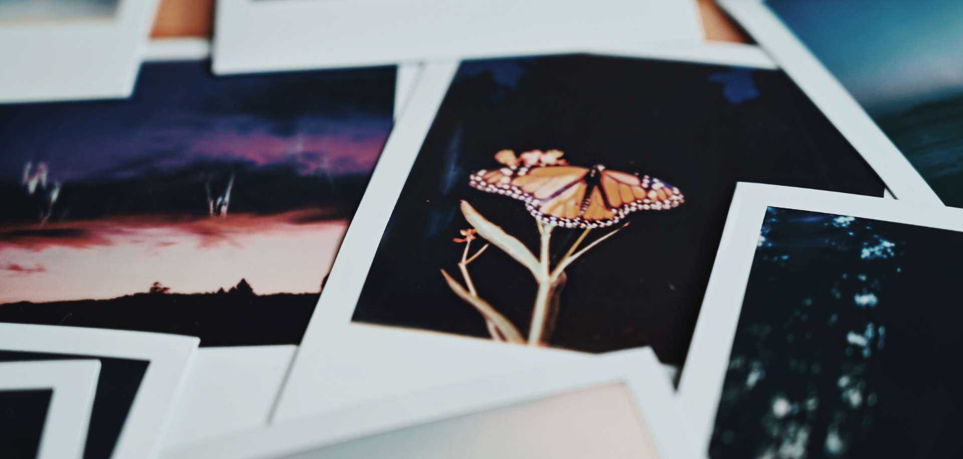 Polaroid Nature Photography Workshop | Power Plants